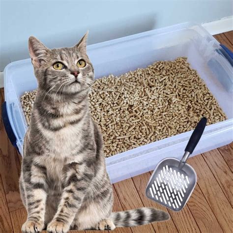 stainless steel steamer pan diy sifting litter box|diy cat litter box plans.